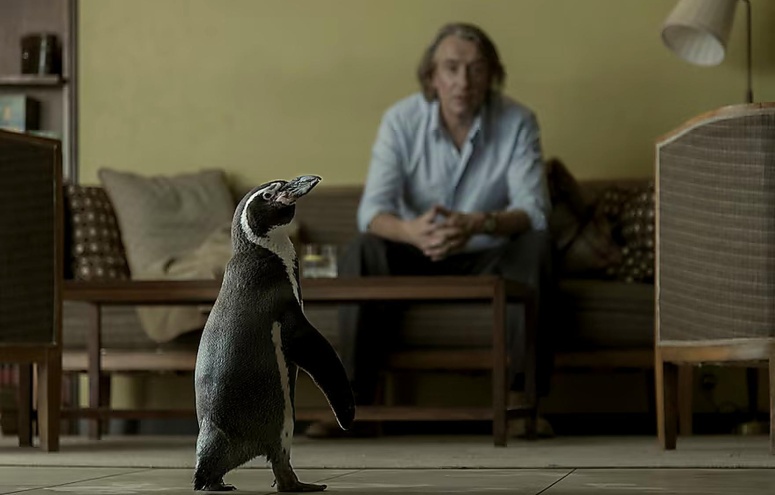 2027-04-27 The Penguin Lessons.jpg
