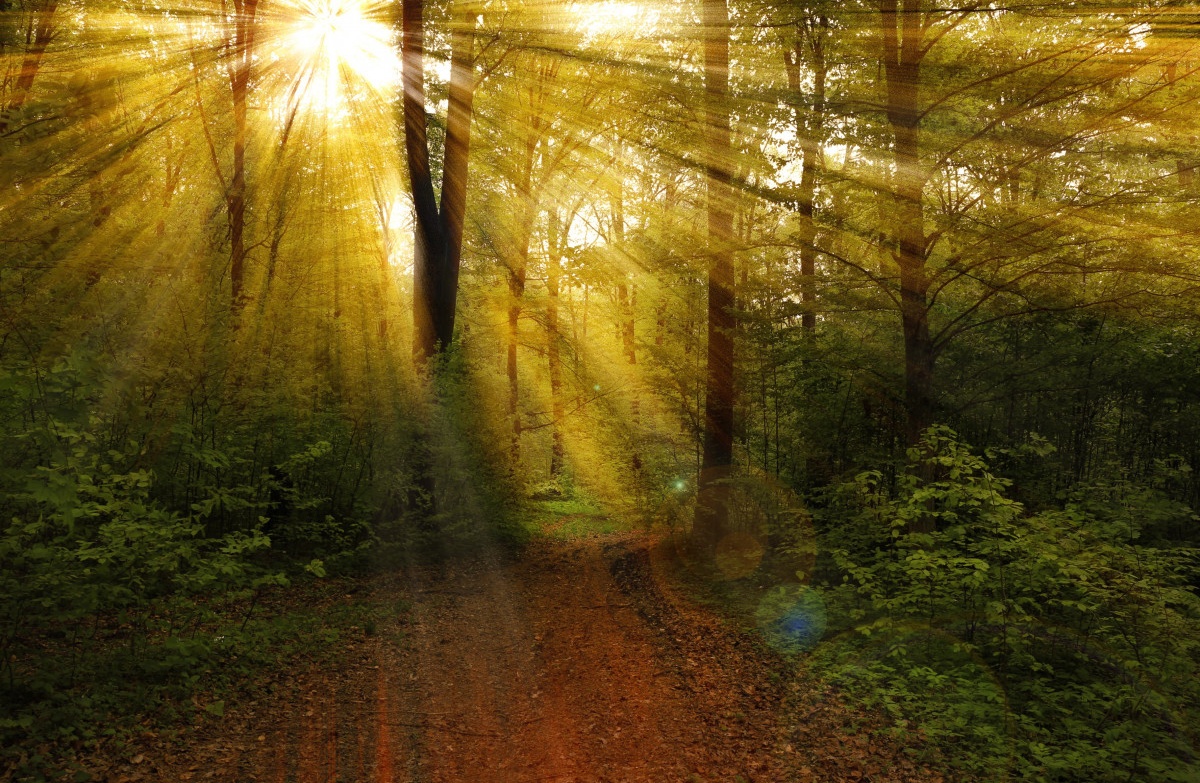 2026-03-18 Stiltewandeling-.jpg