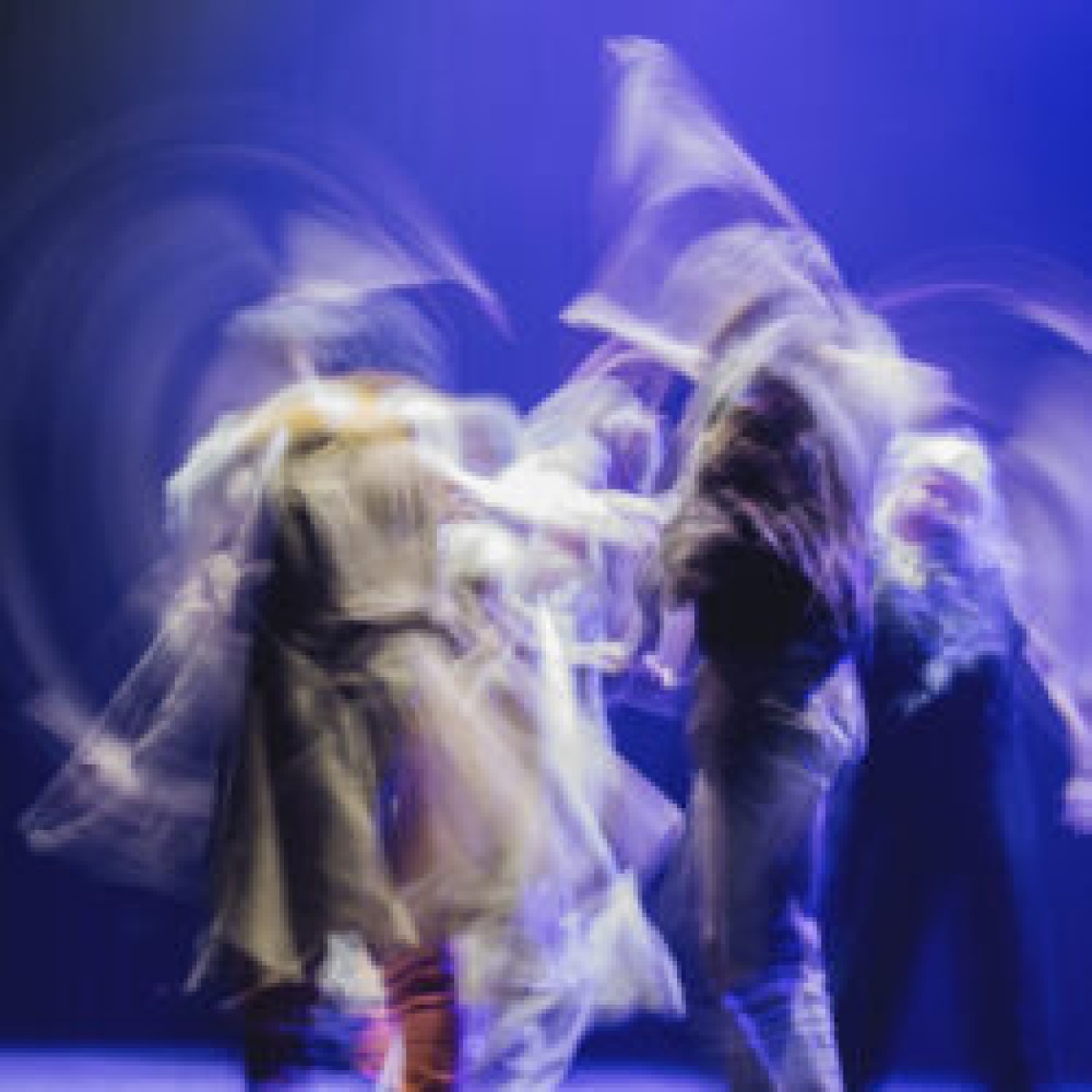 2025-09-25 - Van-den-vos-die-amoc-maecte_050224_c-Sara-De-Graeve_HiRes43-scaled-250x250.jpg