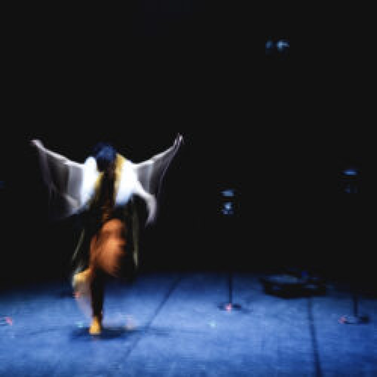 2025-09-25 Van-den-vos-die-amoc-maecte_050224_c-Sara-De-Graeve_HiRes32-scaled-250x250.jpg