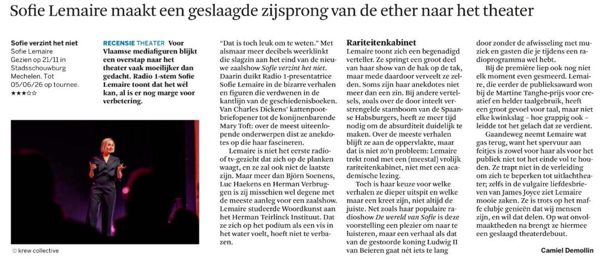 Recensie Sofie verzint het niet.jpg