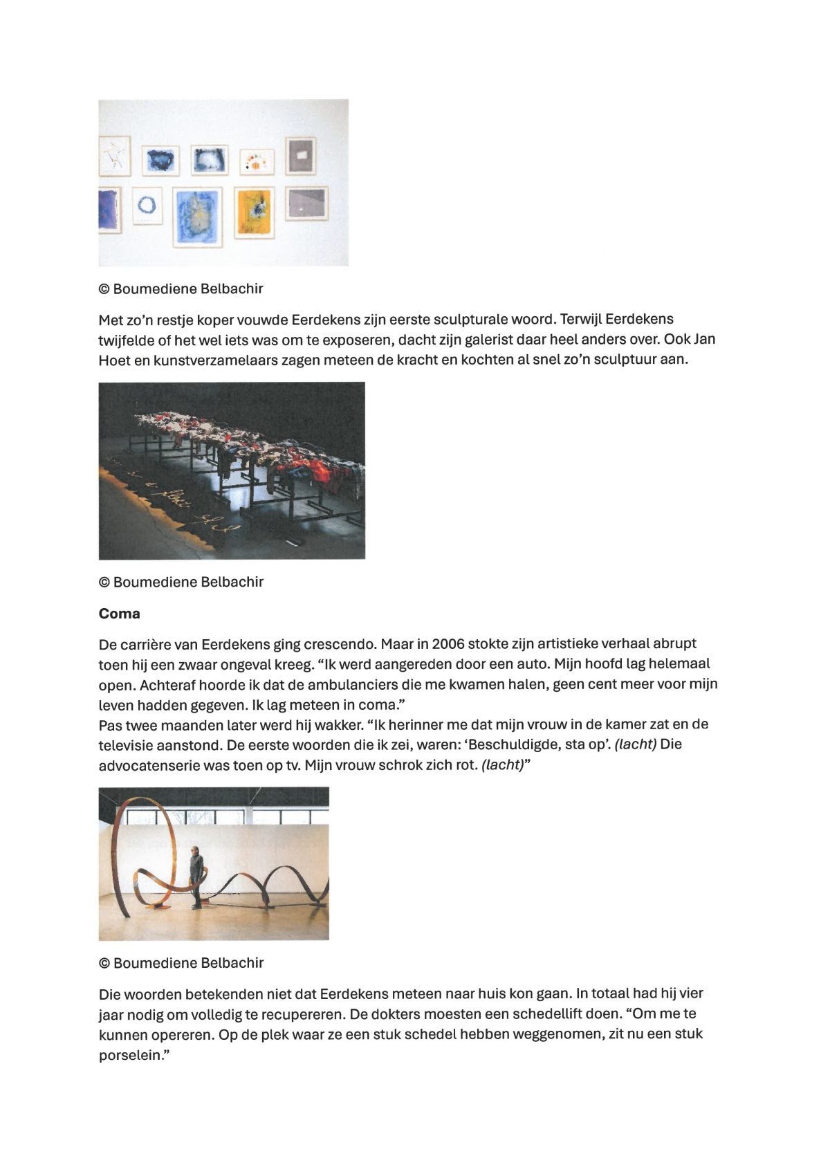 BVL-Fred Eerdekens in CCMaasmechelen-images-3.jpg