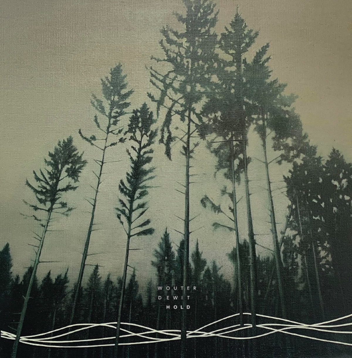 Artwork Wouter Dewit - Hold.jpg